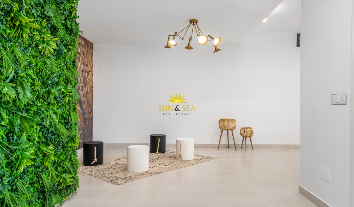 New Build - detached -  - Playa Paraiso