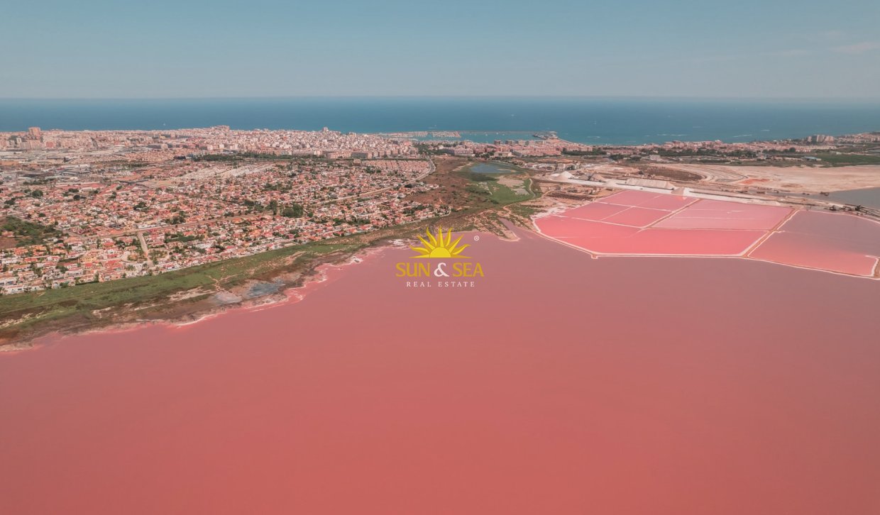 New Build - high-bungalow - Torrevieja - torrevieja