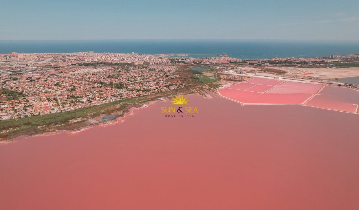 Nouvelle construction - low-bungalow - Torrevieja - torrevieja