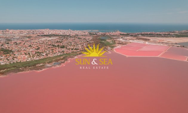 Neue Gebäude - high-bungalow - Torrevieja - torrevieja