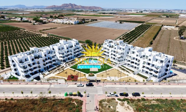 New Build - ground-floor - Santa Rosalía