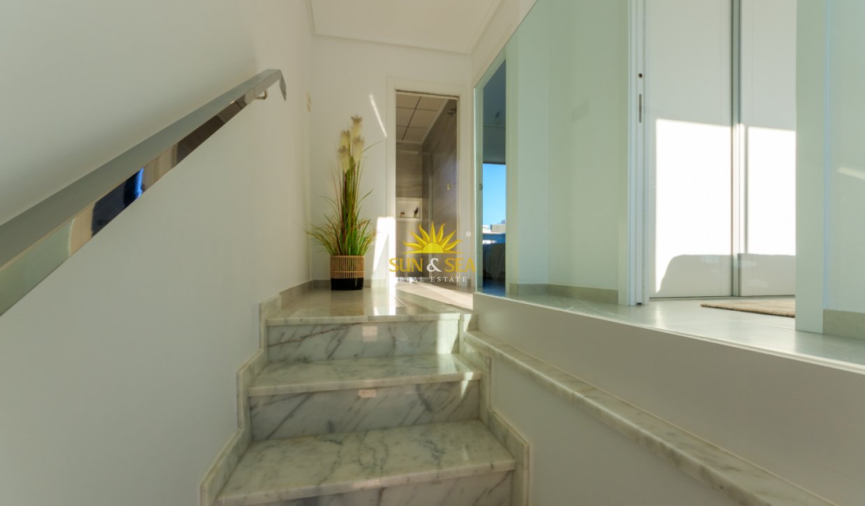 Nouvelle construction - terraced - Pilar de la Horadada