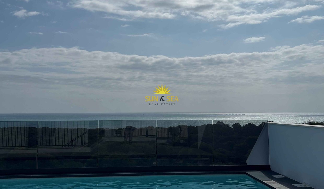 Nouvelle construction - Penthouse - Guardamar del Segura - guardamar del segura