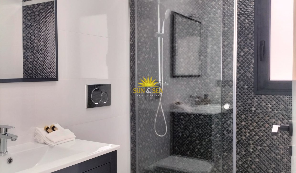 Nouvelle construction - detached - Pilar de la Horadada