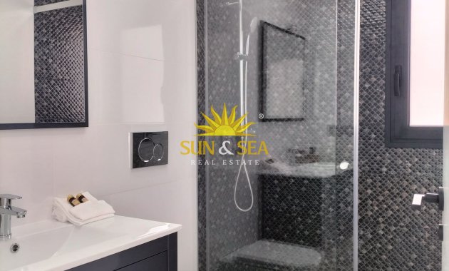 Nouvelle construction - detached - Pilar de la Horadada