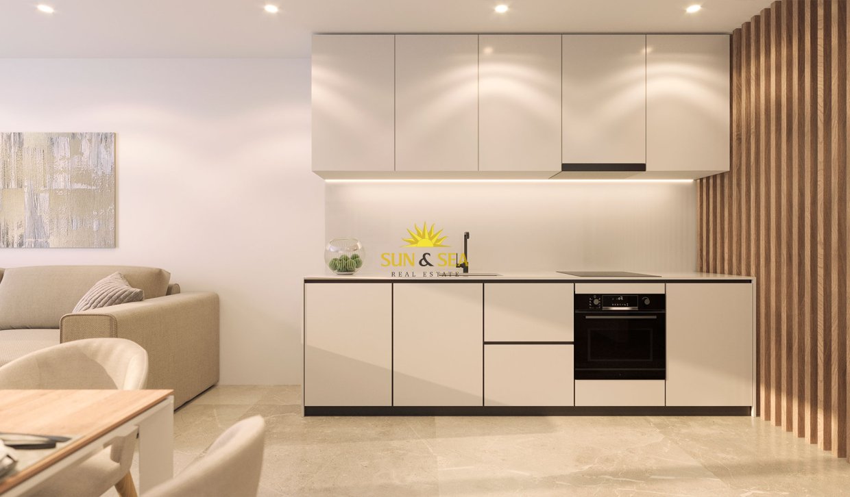 New Build - Penthouse - Torrevieja - torrevieja
