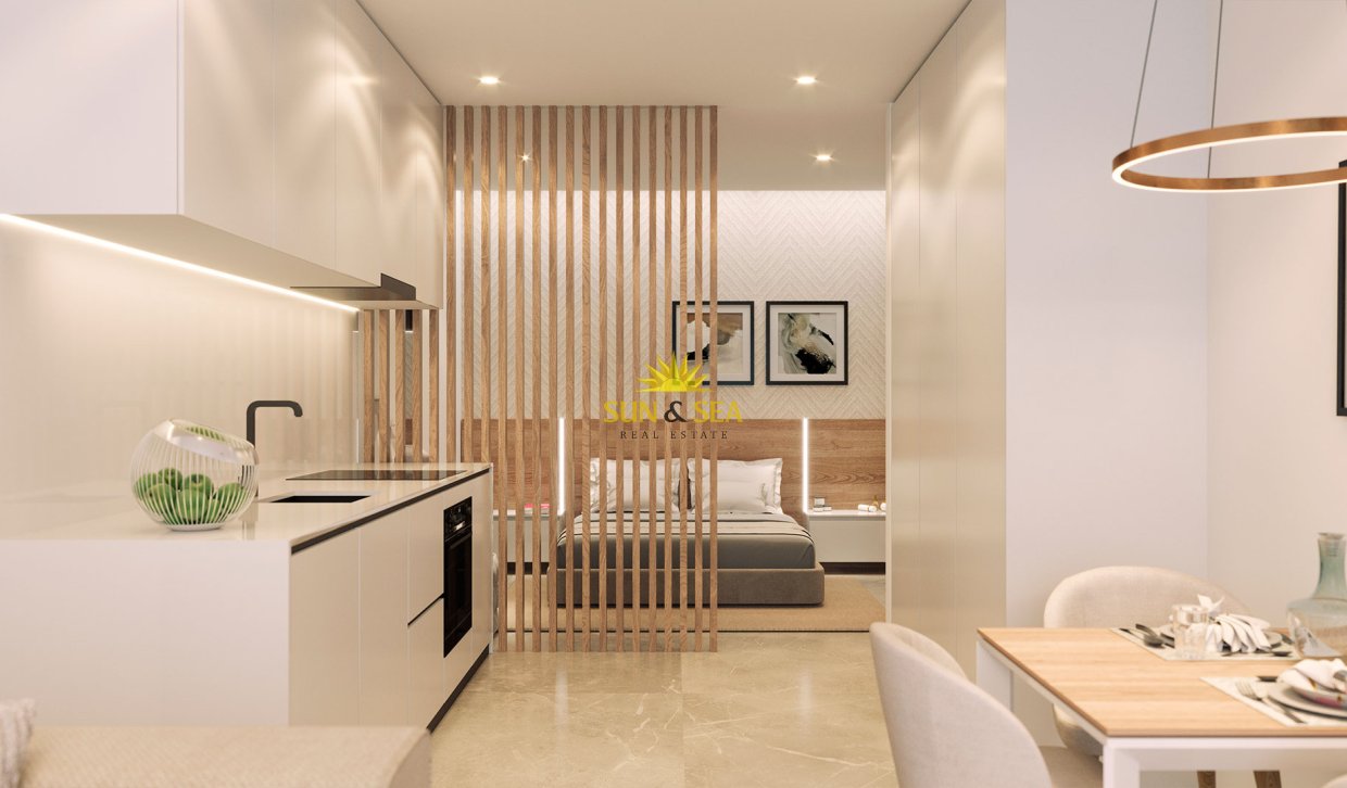 New Build - Penthouse - Torrevieja - torrevieja