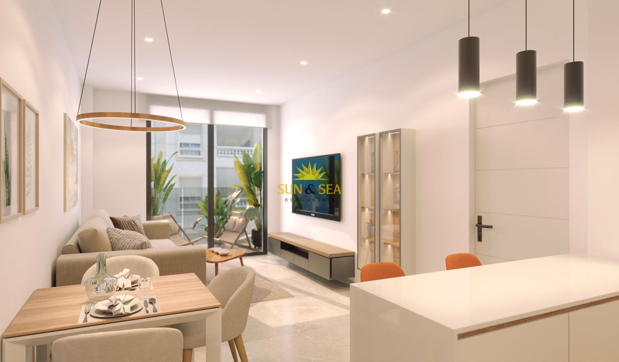 New Build - Penthouse - Torrevieja - torrevieja
