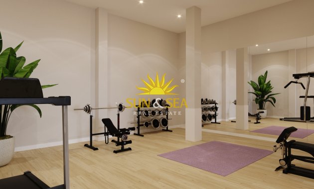 New Build - ground-floor - Algorfa
