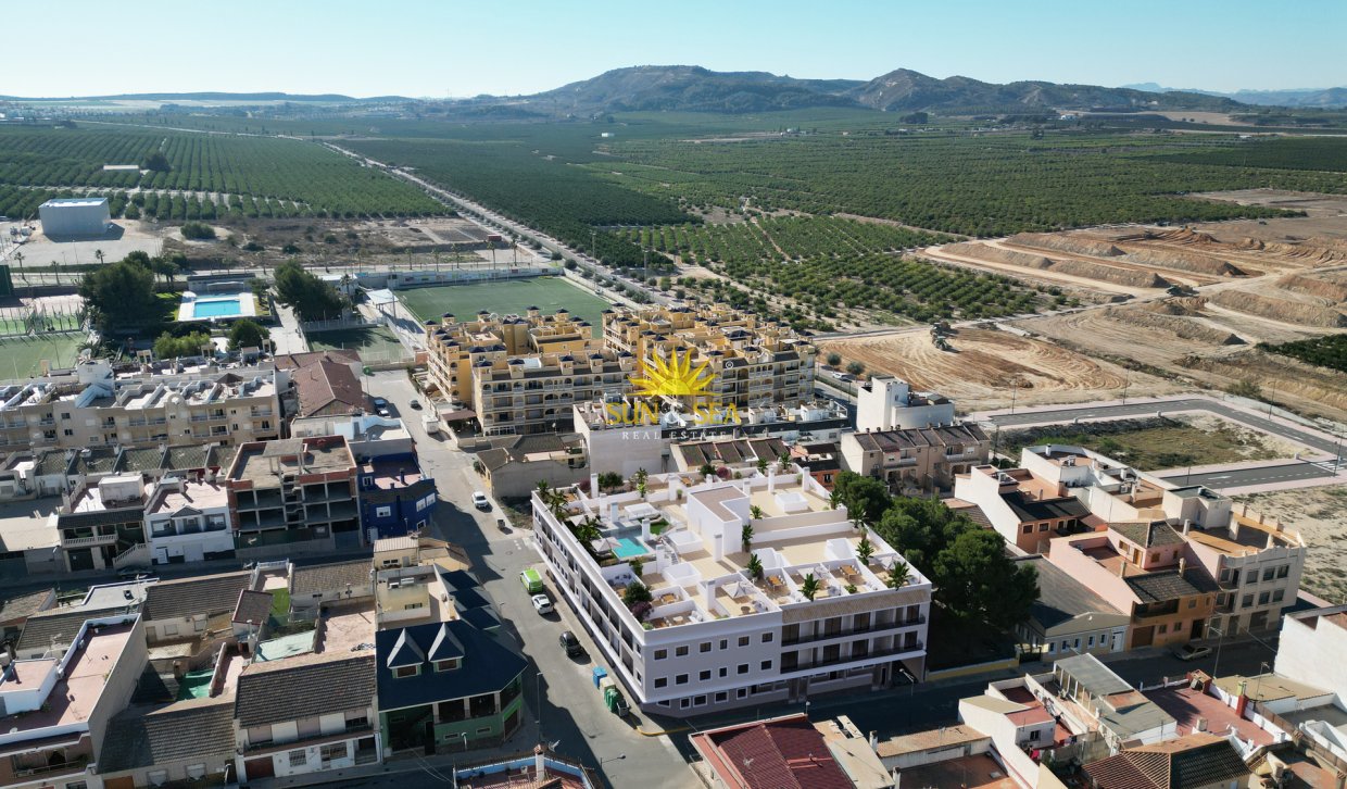 Neue Gebäude - Penthouse - Algorfa