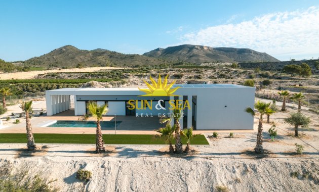 Nouvelle construction - detached - Pinoso