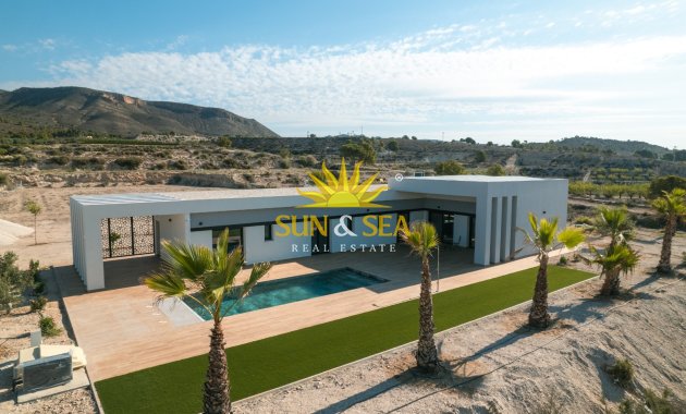 Nouvelle construction - detached - Pinoso
