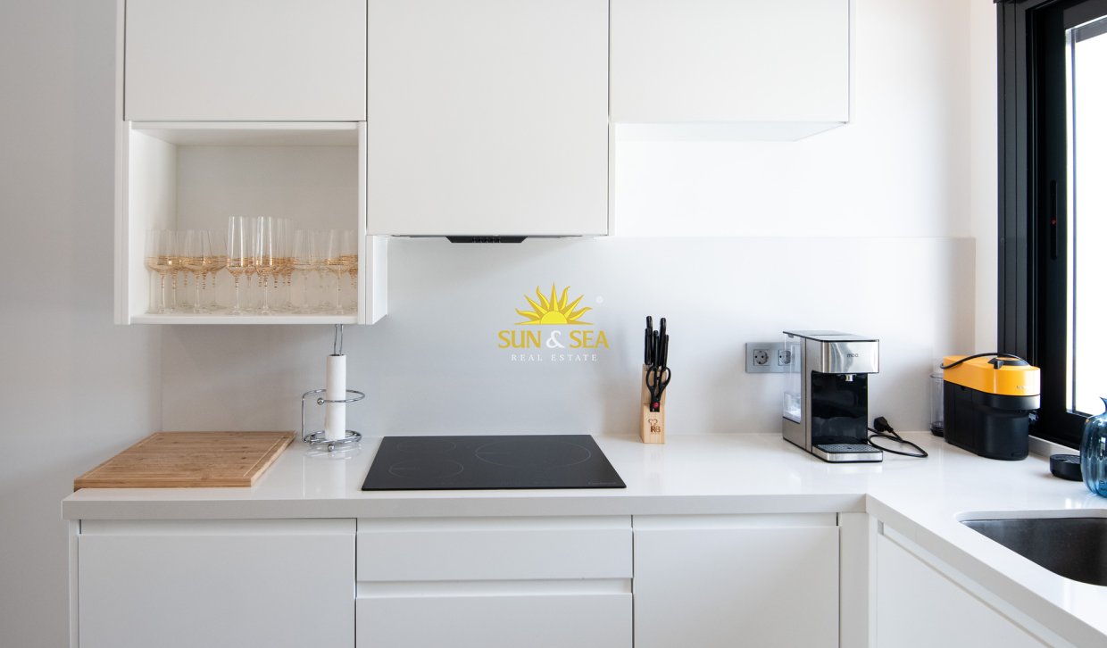 Nouvelle construction - detached - Pinar de Campoverde