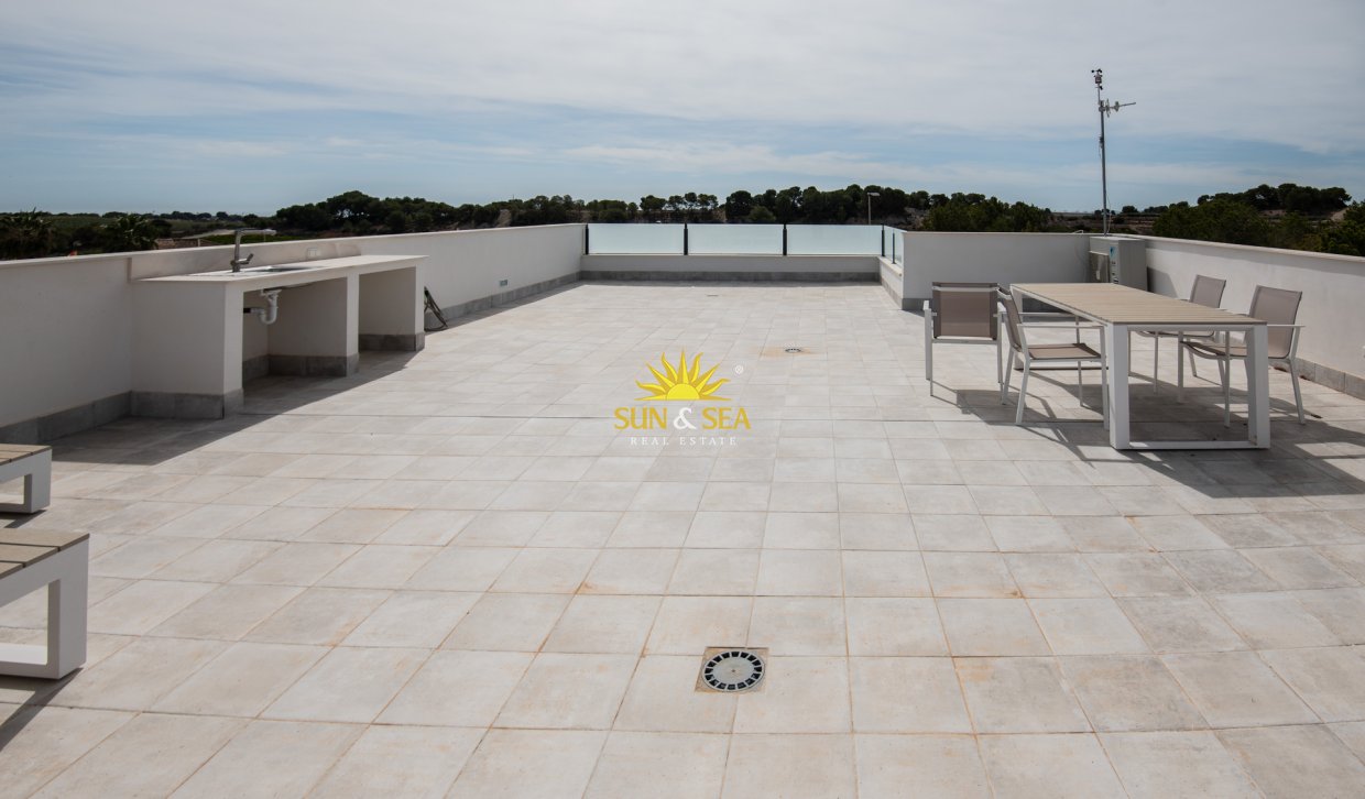 Nouvelle construction - detached - Pinar de Campoverde