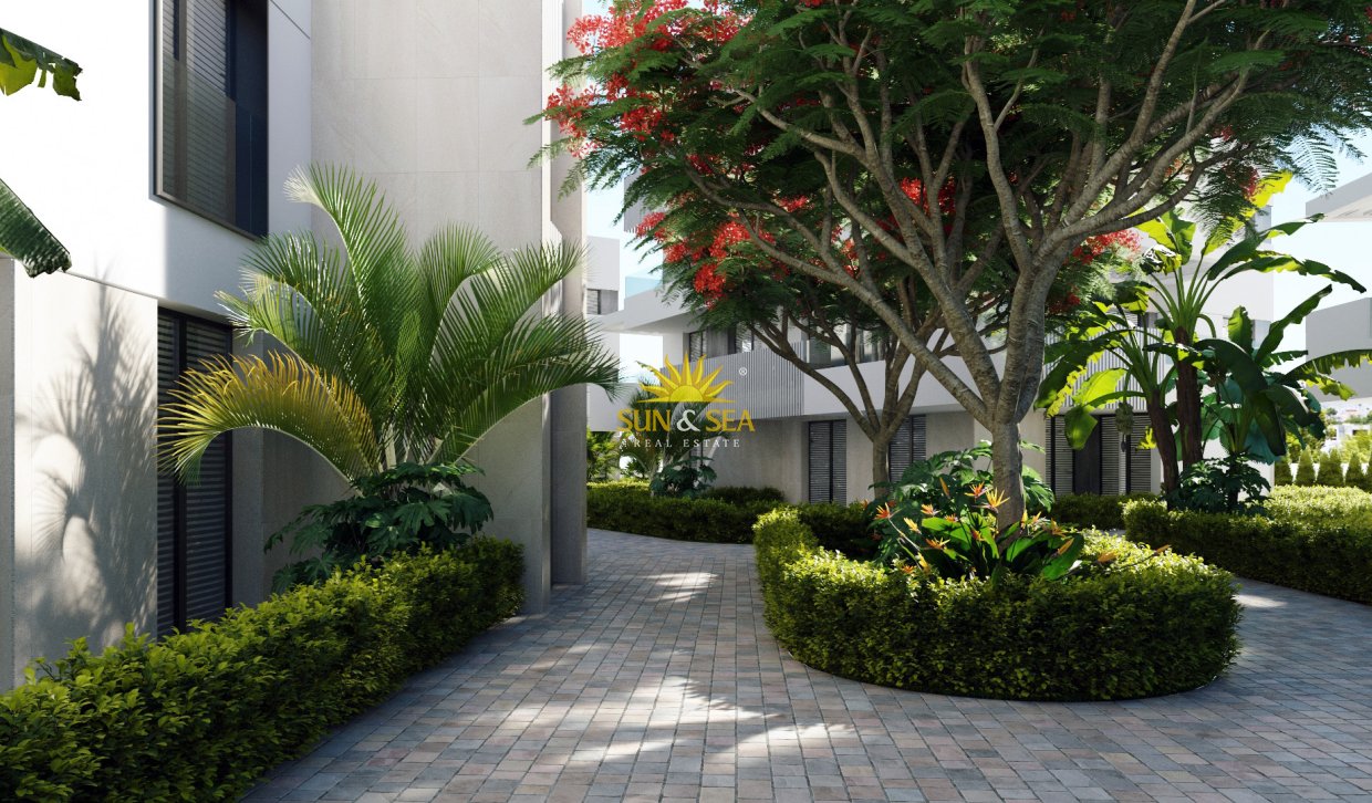 New Build - Penthouse - Santa Rosalía