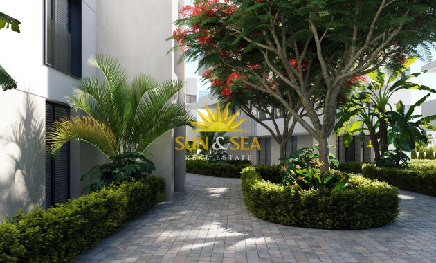 New Build - Penthouse - Santa Rosalía