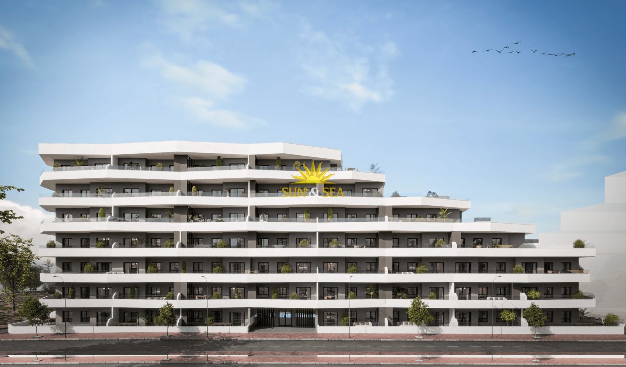 Obra nueva - Apartamento - San Miguel de Salinas