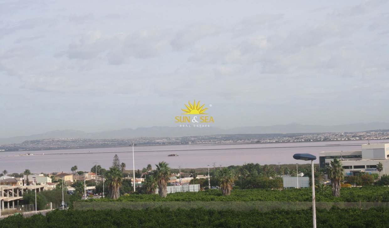 Nouvelle construction - semi-detached - Torrevieja - torrevieja