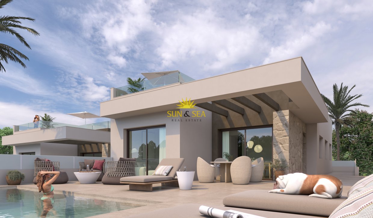 Obra nueva - detached - Rojales
