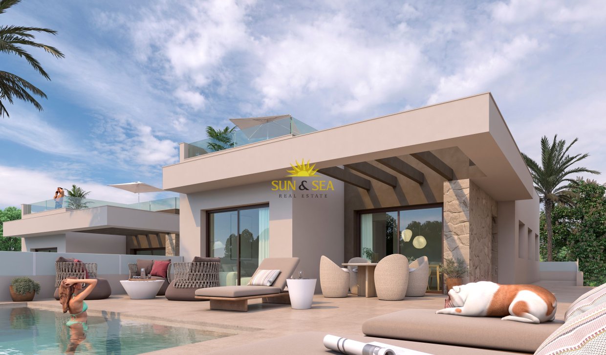 Obra nueva - detached - Rojales