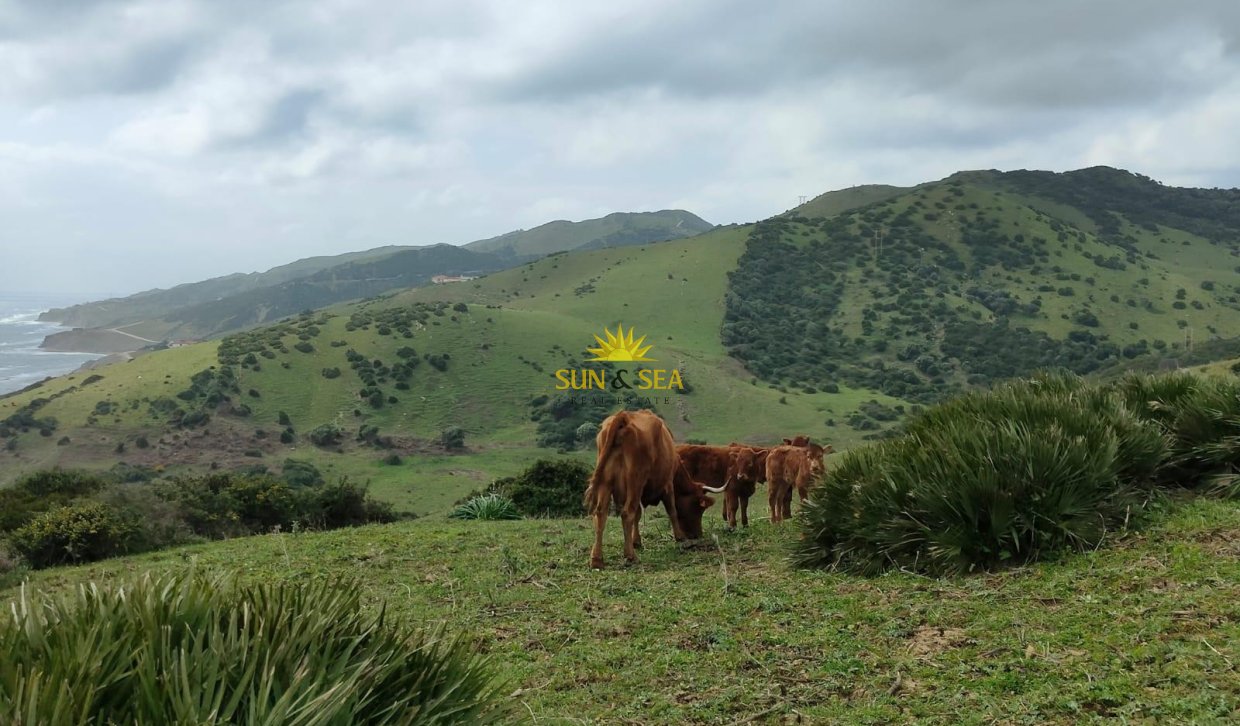 Resale - Plot - Tarifa