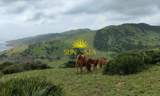 Resale - Plot - Tarifa