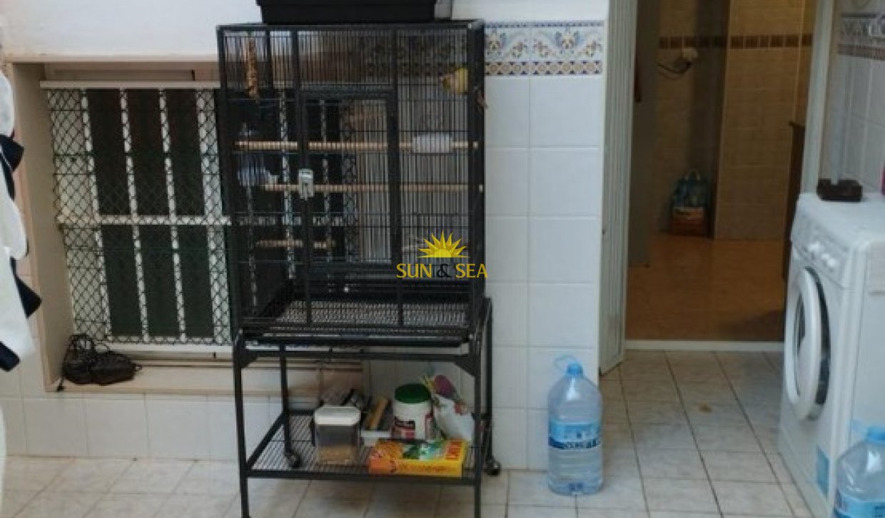 Long Term Rental - Apartment - Torrevieja - torrevieja