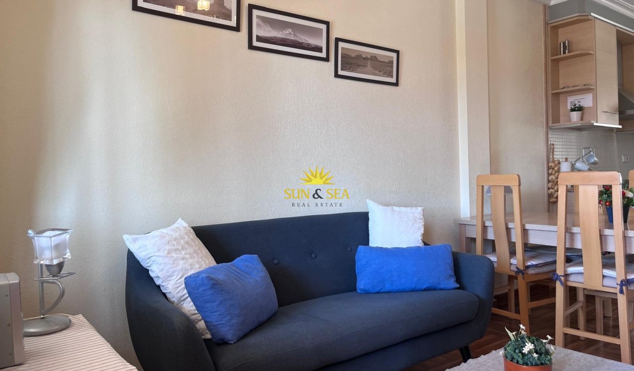 Long Term Rental - Apartment - Torrevieja - torrevieja