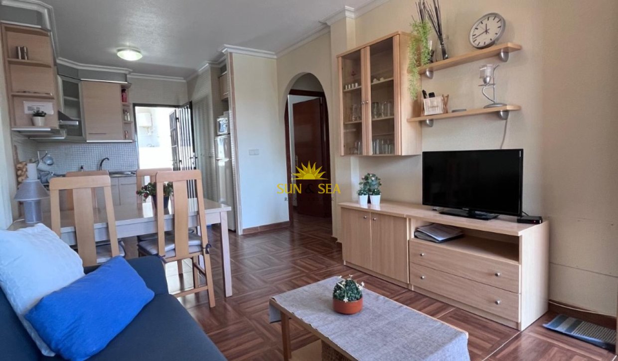 Long Term Rental - Apartment - Torrevieja - torrevieja