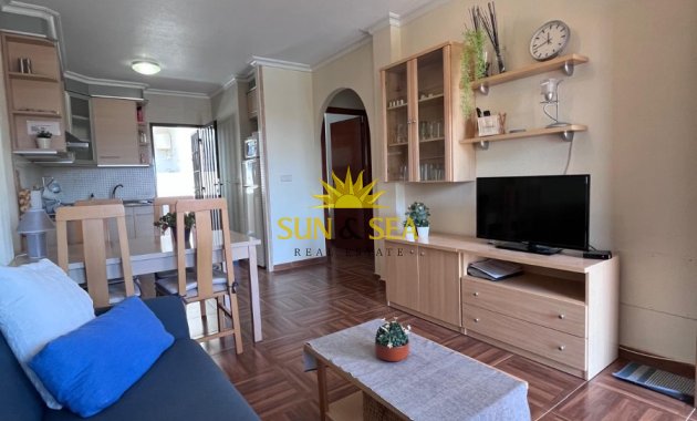 Long Term Rental - Apartment - Torrevieja - torrevieja