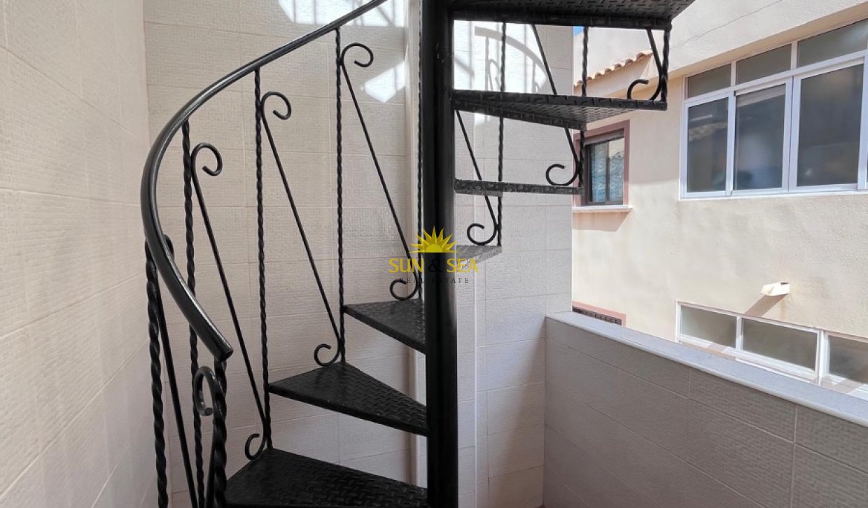 Long Term Rental - Apartment - Torrevieja - torrevieja