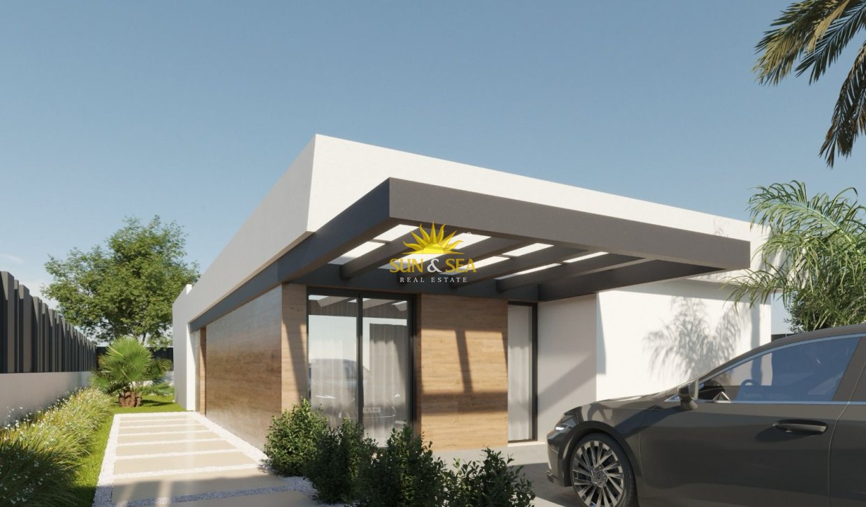 Neue Gebäude - detached - Molina De Segura - 