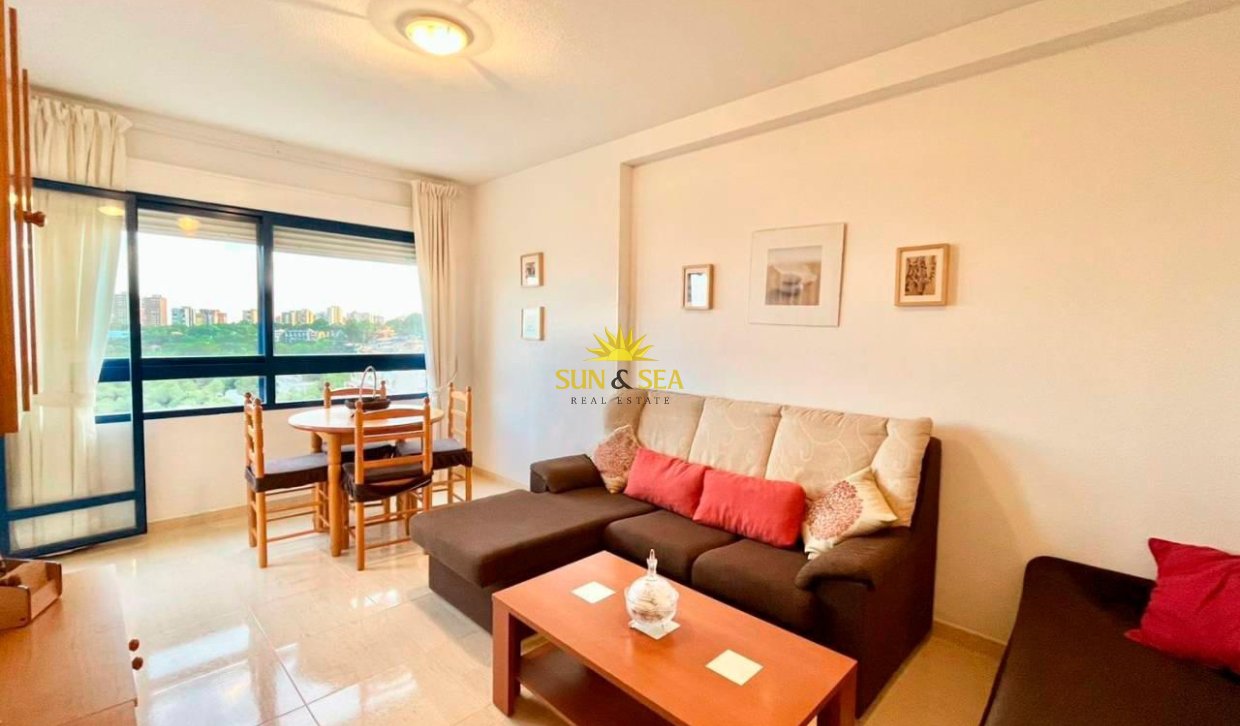 Alquiler a largo plazo - Apartamento - Campoamor - Dehesa de campoamor