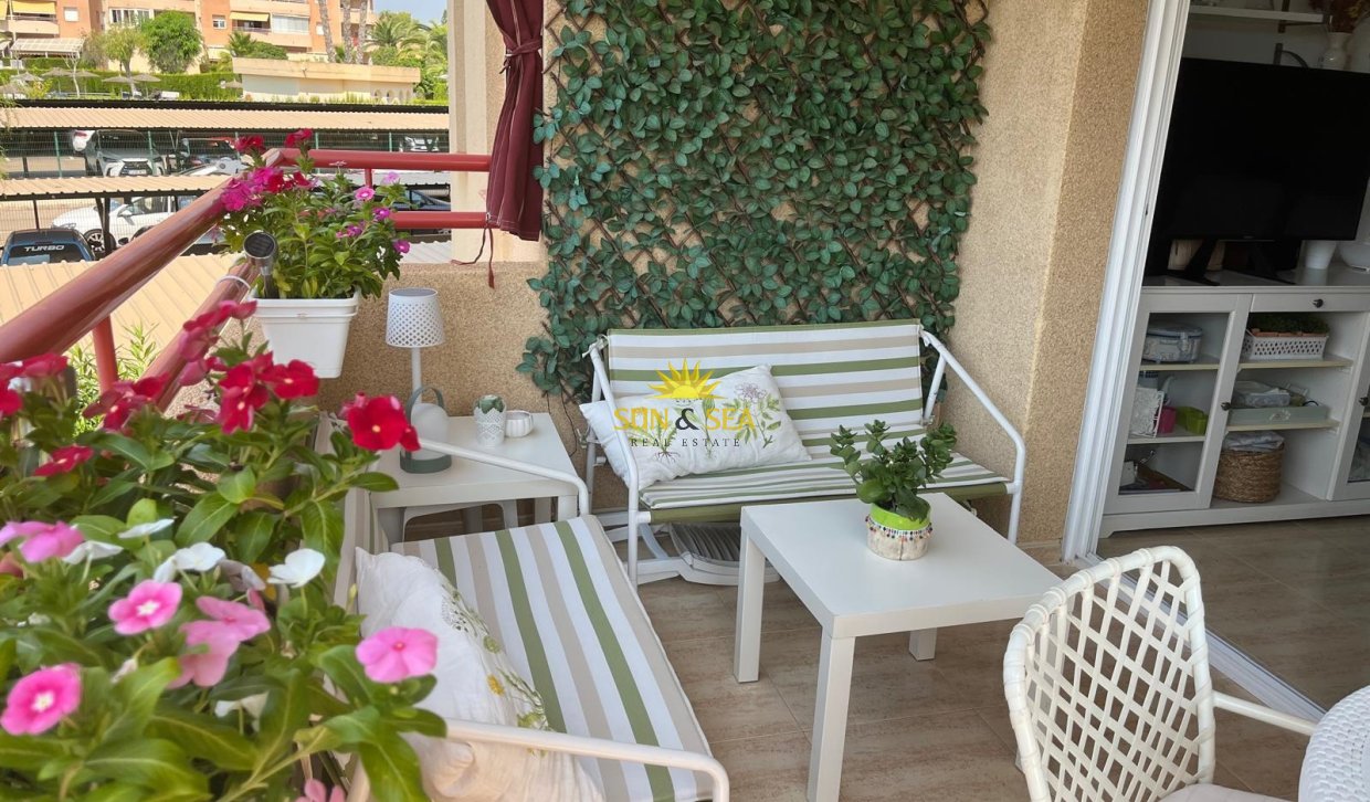 Alquiler a largo plazo - Apartamento - Orihuela Costa - Dehesa de campoamor
