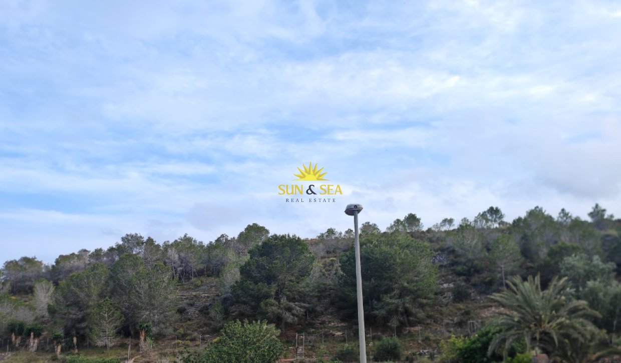 Location à long terme - Villa - Bigastro