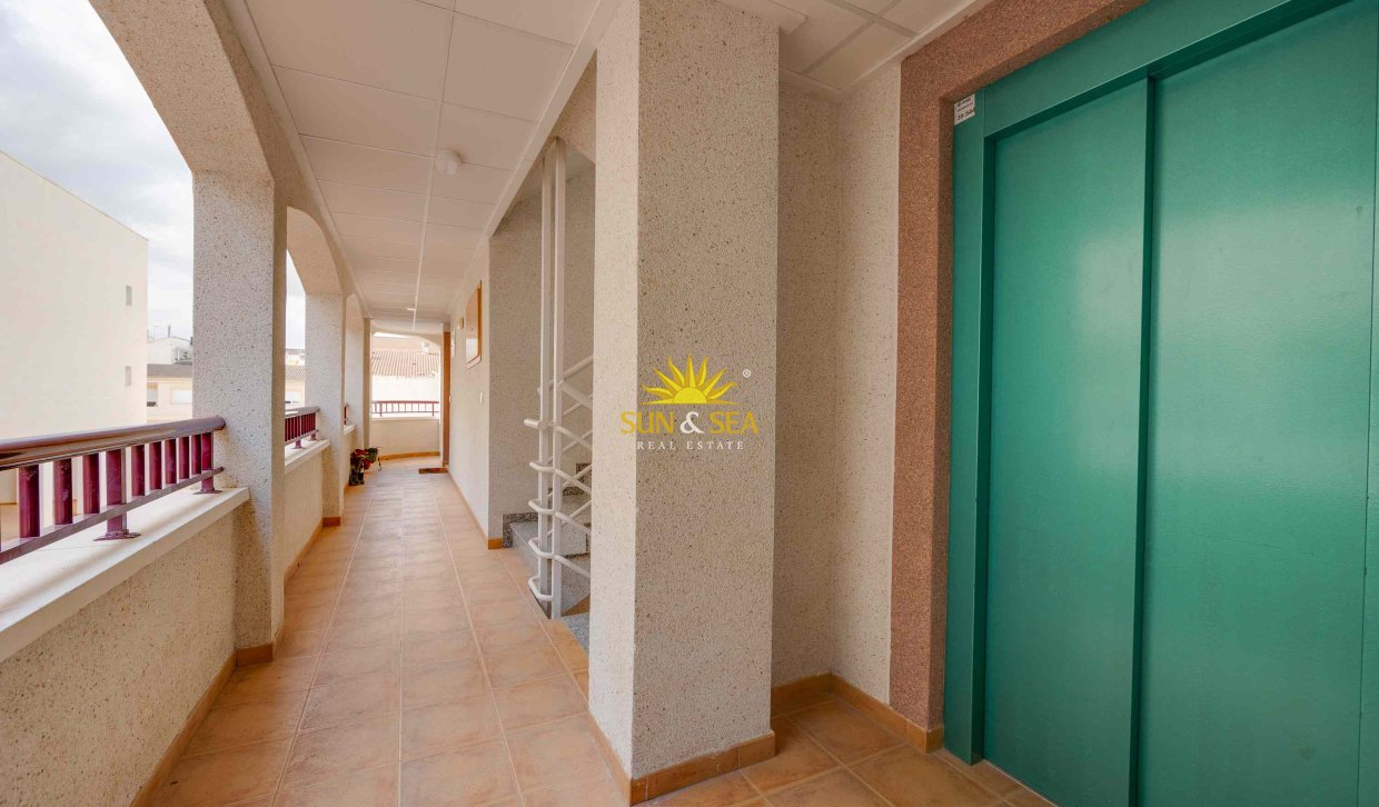 Nouvelle construction - Appartement - San Fulgencio