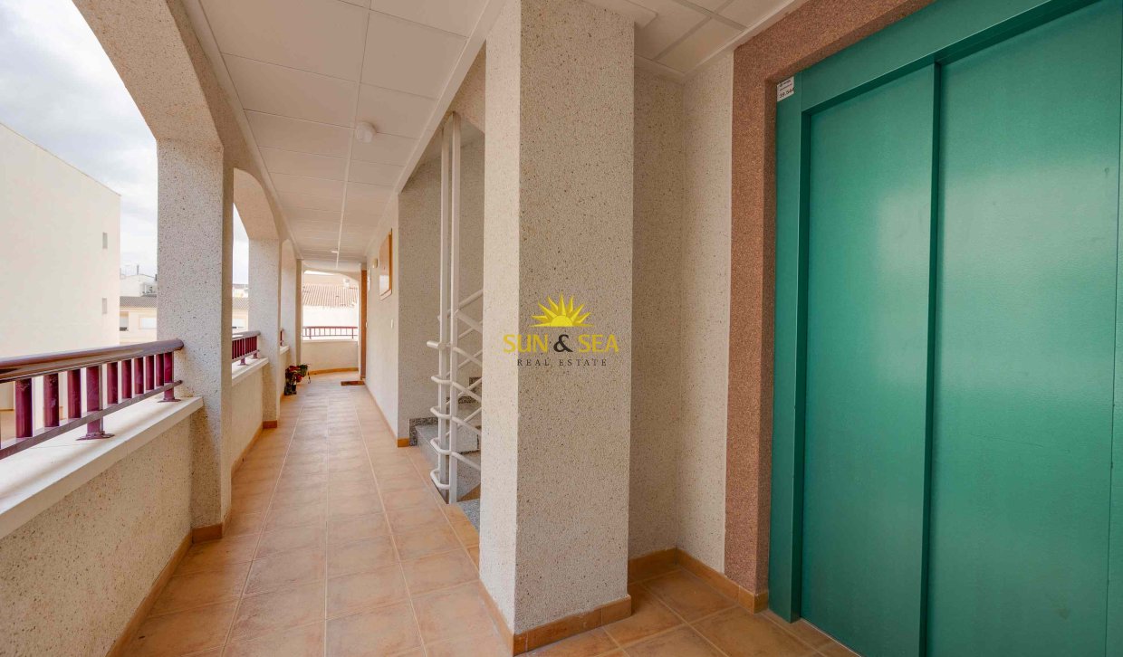 Obra nueva - Apartamento - San Fulgencio