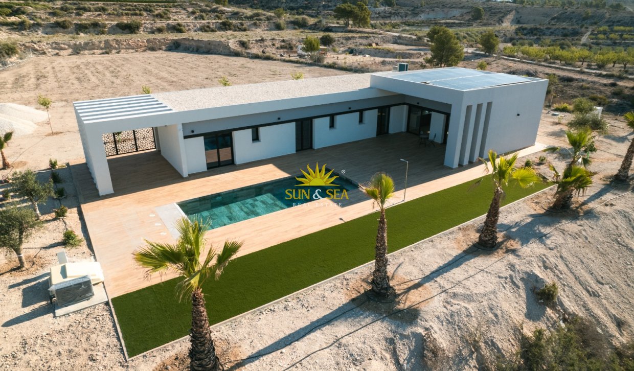 Nouvelle construction - detached - Pinoso