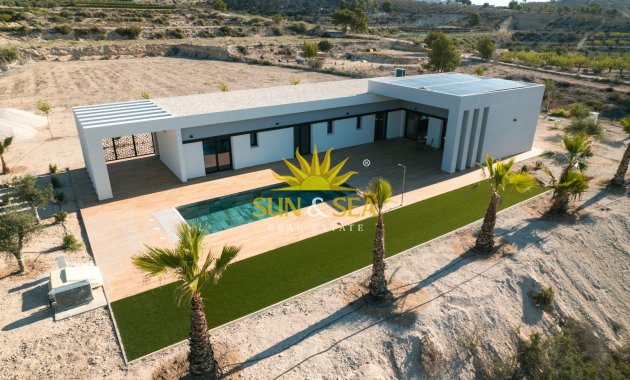 Nouvelle construction - detached - Pinoso