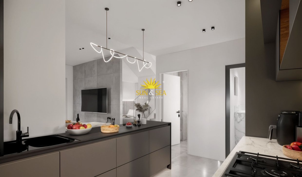 Nouvelle construction - terraced - La Herrada