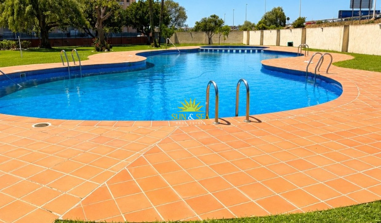 Langfristige Vermietung - Wohnung - Torrevieja - Paseo maritimo