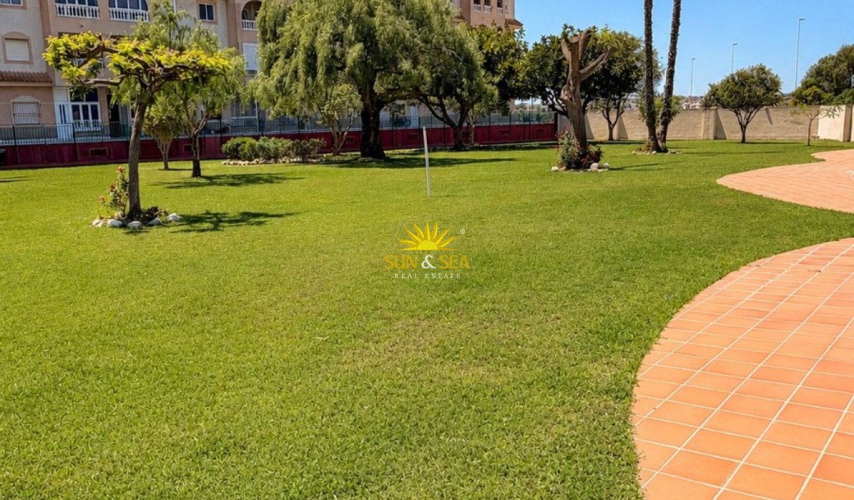 Langfristige Vermietung - Wohnung - Torrevieja - Paseo maritimo
