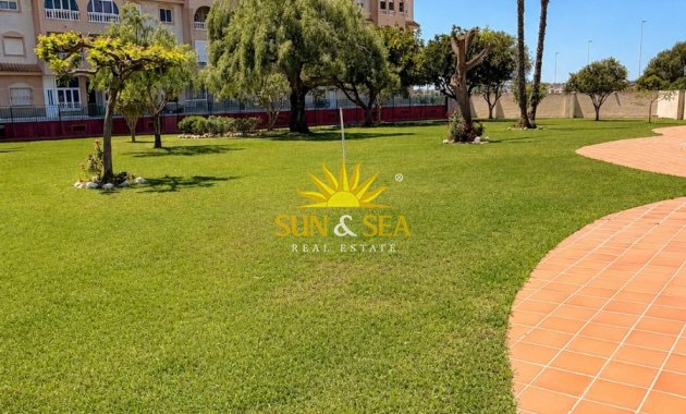 Langfristige Vermietung - Wohnung - Torrevieja - Paseo maritimo