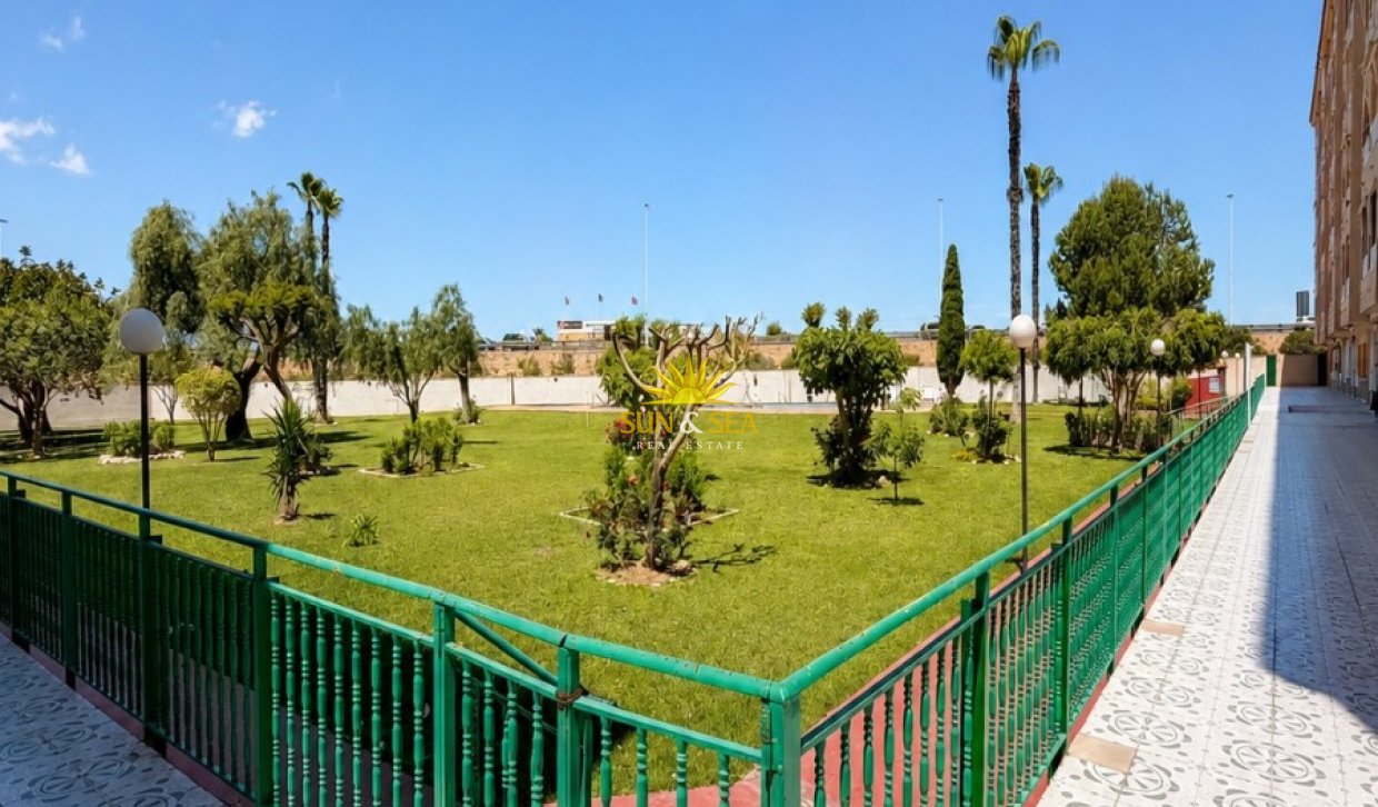Langfristige Vermietung - Wohnung - Torrevieja - Paseo maritimo