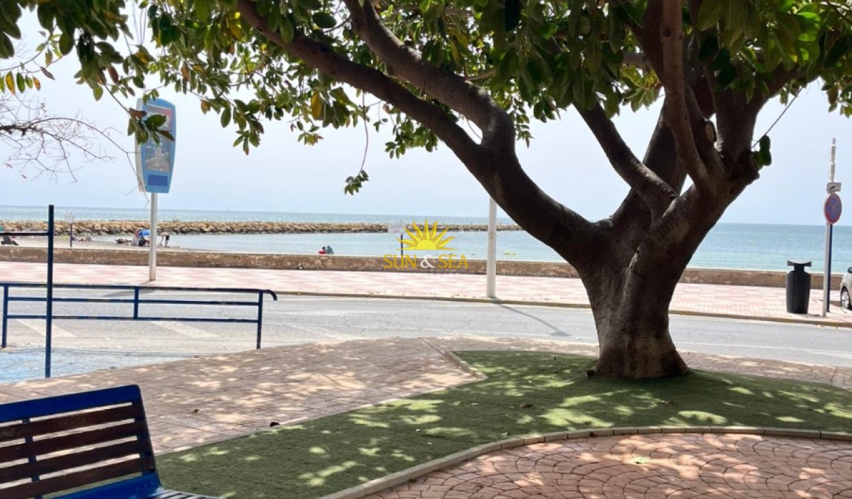 Location d’hiver - Appartement - Santa Pola