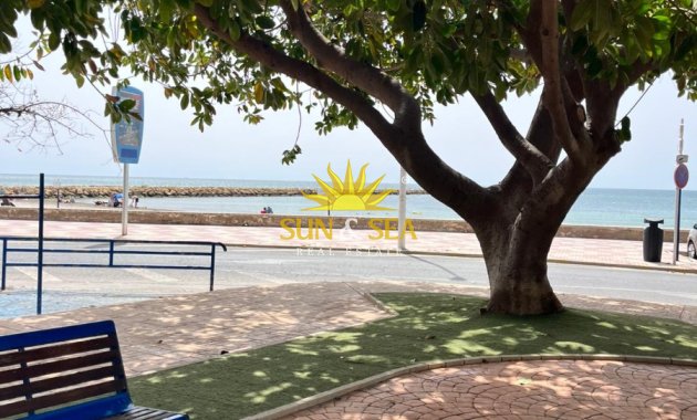 Location d’hiver - Appartement - Santa Pola