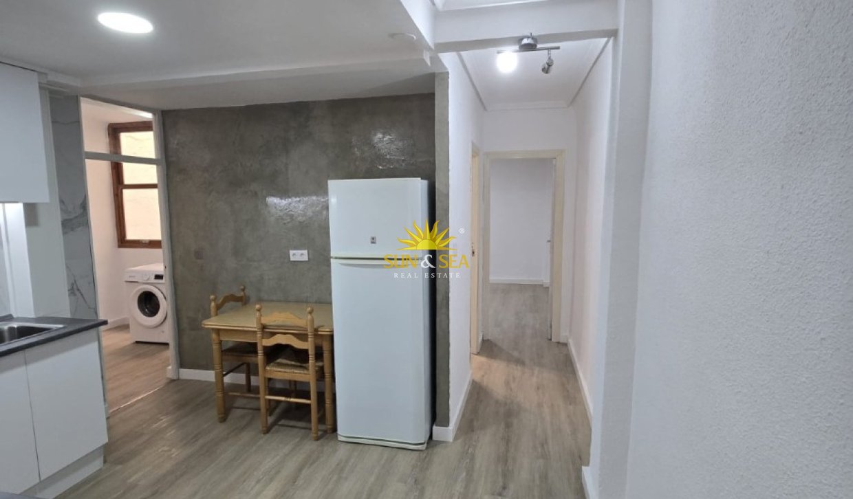 Alquiler de invierno - Apartamento - Elche