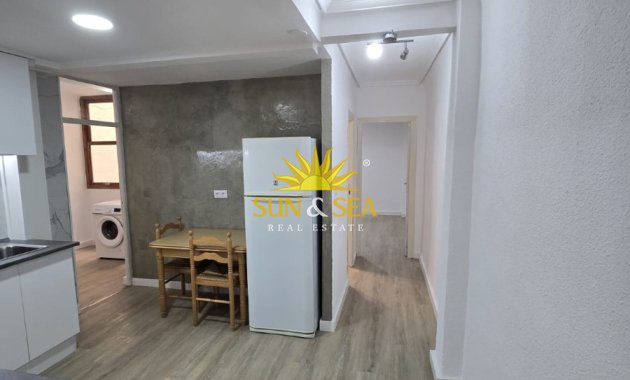 Alquiler de invierno - Apartamento - Elche