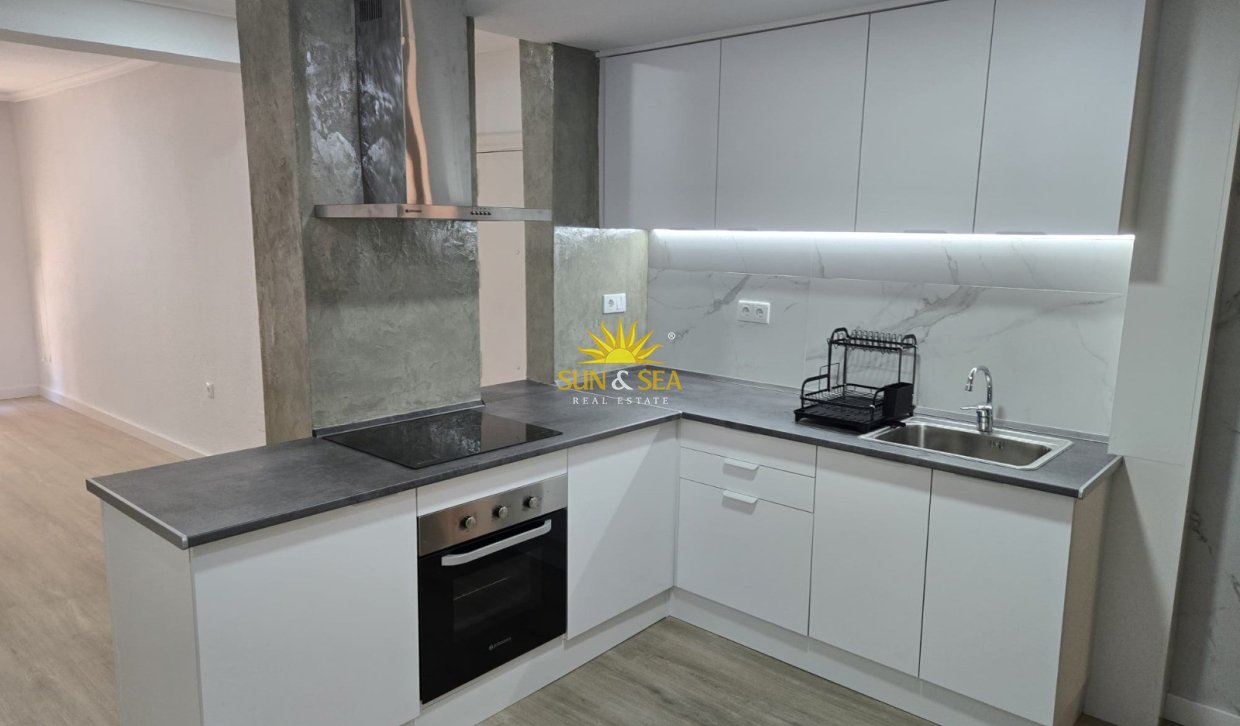 Alquiler de invierno - Apartamento - Elche