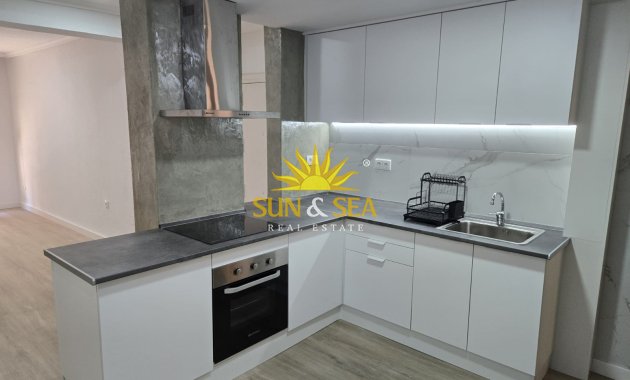 Alquiler de invierno - Apartamento - Elche